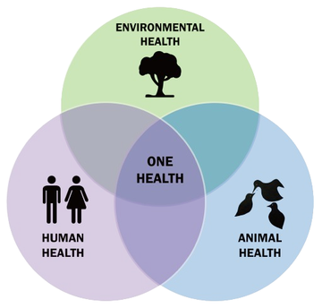One-Health-Triad-en_1_-removebg-preview